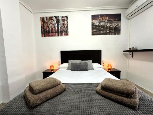 1 dormitorio con 1 cama con 2 almohadas en DS Apartamento Mezquita con cochera, en Córdoba