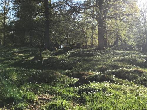 Un jardín fuera de Lilla Hotellet