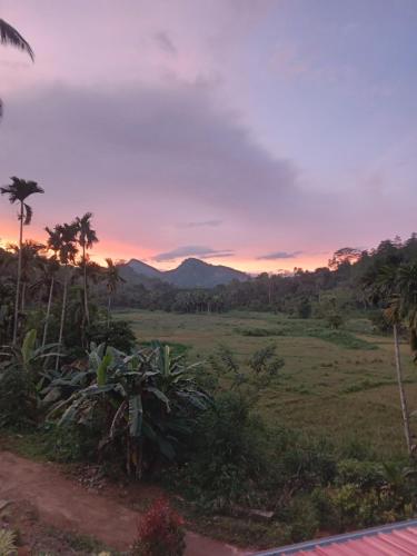 una puesta de sol de un campo con palmeras en Rainforest Holiday Inn, en Deniyaya