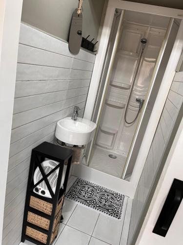 a small bathroom with a sink and a shower at Nuit insolite au cœur d’un ranch proche d’Europa park in Schwobsheim