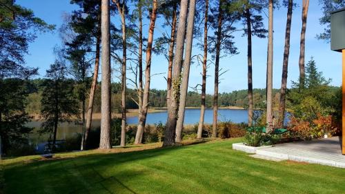 a yard with a view of a lake and trees at Belle ILE in Lychen