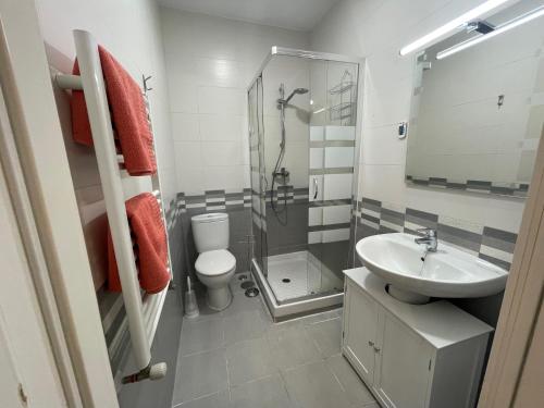 uma casa de banho com um lavatório, um WC e um chuveiro em Bonito apartamento junto a la Plaza Mayor em Madri