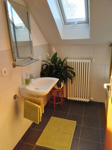 a bathroom with a sink and a mirror and a plant at FeWo Christine in Bad Buchau