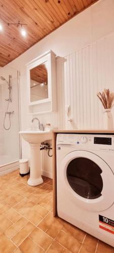 une machine à laver dans une salle de bain avec un lavabo dans l'établissement Vue époustouflante & Jardin à Saint-Martin-Vésubie, à Saint-Martin-Vésubie