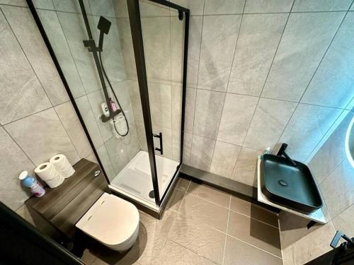a bathroom with a shower and a toilet at 1. VD Central Studio - 100m to Piccadilly Circus! in London