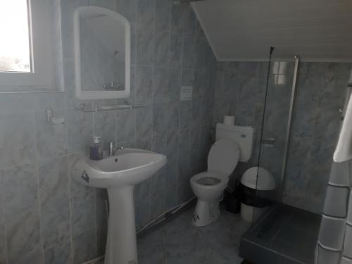 a bathroom with a sink and a toilet at Pensiunea Vasilescu in Horezu