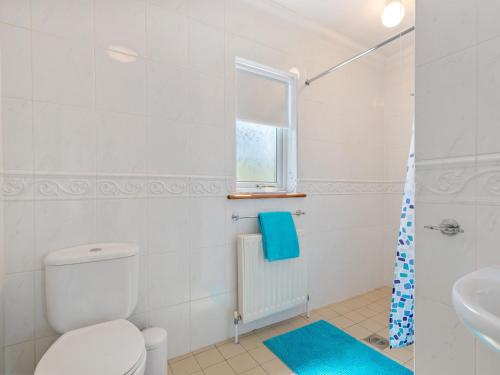 a white bathroom with a toilet and a sink at Highgrove in Narberth