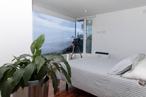 a bedroom with a bed and a large window at Vistas Del Valle; piscina, wifi bbq... in Santa Cruz de Tenerife