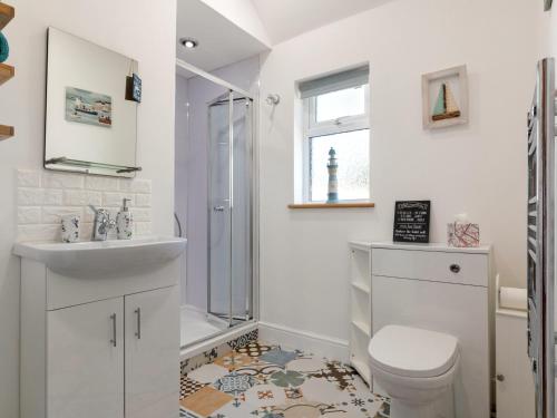 La salle de bains est pourvue de toilettes, d'un lavabo et d'une douche. dans l'établissement The Cwtch, à Pembrokeshire