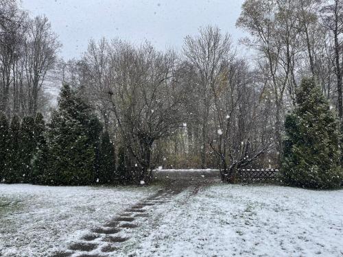 a snow covered path in a yard with trees at Henriette in Walkenried