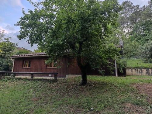 un árbol y un banco frente a un edificio en Petit chalet cosy Sarlat en Sarlat-la-Canéda