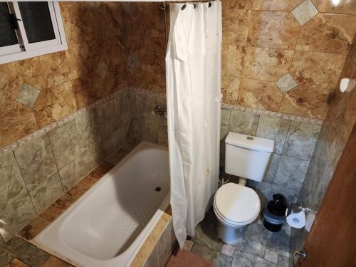 Rincon de los Sauces的住宿－Rincon house，一间带卫生间和浴缸的浴室