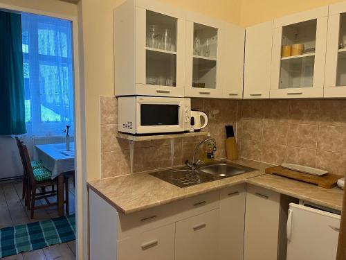 a kitchen with a sink and a microwave at Vila Josefina Jizerské hory in Josefuv dul