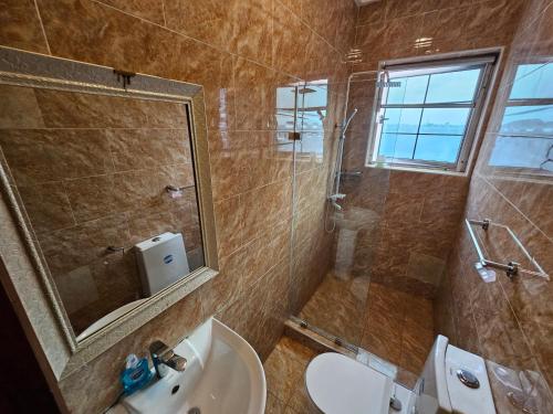 a bathroom with a toilet sink and a mirror at Ibranad Apartments in Accra