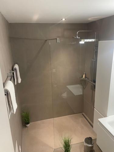 W łazience znajduje się przeszklony prysznic i toaleta. w obiekcie Modern City Apartment w mieście Interlaken
