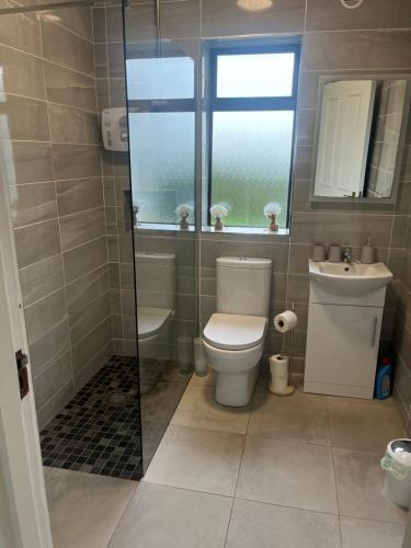 a bathroom with a toilet and a sink at An Cnoc in Killorglin