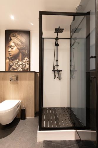 a bathroom with a shower and a toilet and a picture at Appartementen het Waterhoentje in Sint Jansklooster