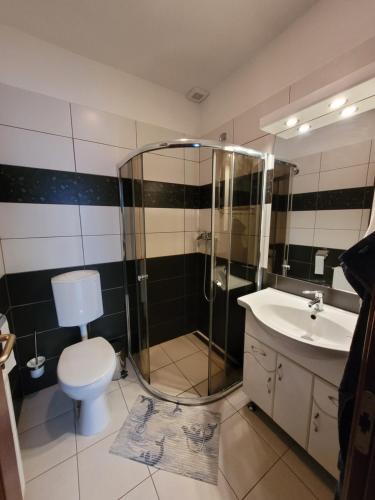 a bathroom with a shower and a toilet and a sink at Eplényi Apartmanház in Eplény