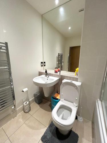 a bathroom with a toilet and a sink at Lovely cosy apartment Bromley in Bickley