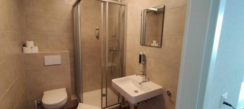 a bathroom with a shower and a toilet and a sink at Castle view in Veytaux