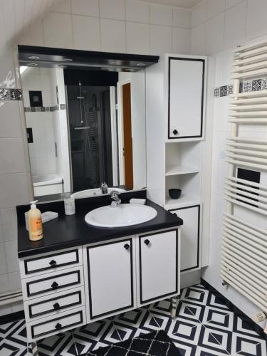 Un baño con lavabo y un espejo grande. en Opal'In proche de la plage et des restaurants, en Gravelines