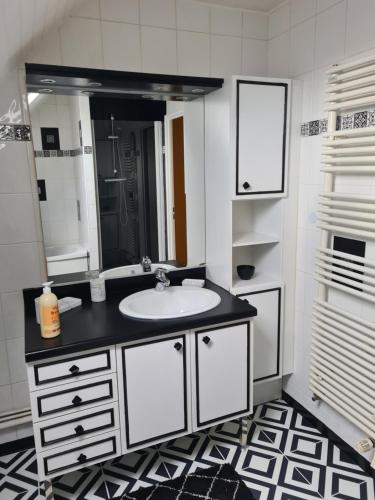 La salle de bains est pourvue d'un lavabo et d'un grand miroir. dans l'établissement Opal'In, à Gravelines