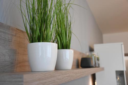 two white pots with plants on a wooden shelf at Apartmán Bára in Cerny Dul