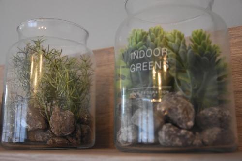 two glass jars with plants and rocks on a shelf at Apartmán Bára in Cerny Dul
