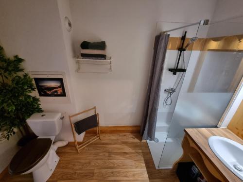 e bagno con doccia, servizi igienici e lavandino. di Appartement 4 personnes 32m2 Au pied des pistes- WiFI- Balcon Sud- Chamrousse 1650 a Chamrousse