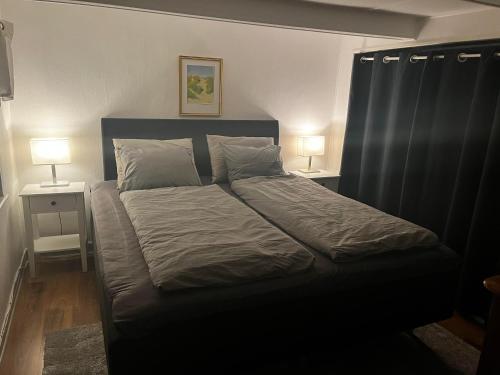 a bed in a bedroom with two lamps on tables at Österlens Pärla in Borrby