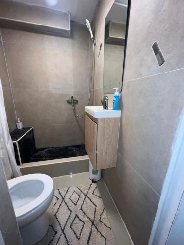 La salle de bains est pourvue de toilettes, d'un lavabo et d'une douche. dans l'établissement Appartement à 10 minutes du Stade de France, à Saint-Denis