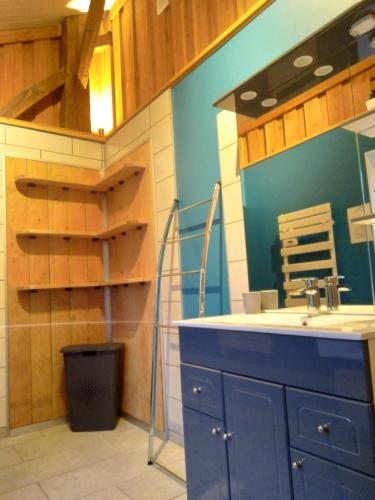 uma casa de banho com um lavatório azul e uma escada em Appartement spacieux au coeur de la nature em Fougerolles