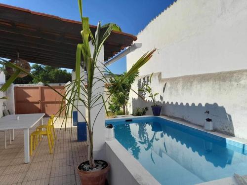 a potted plant sitting next to a swimming pool at Casa Caridade in Reguengos de Monsaraz