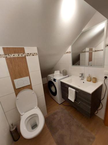 ein Badezimmer mit einem WC, einem Waschbecken und einem Spiegel in der Unterkunft Apartment Ledermoos in Mauterndorf