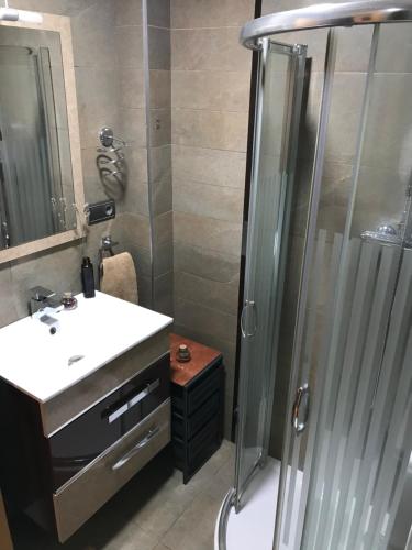 a bathroom with a shower and a sink and a toilet at Dúplex cómodo in Cehegín