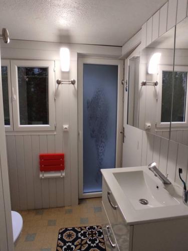 une salle de bain avec un lavabo, des toilettes et un miroir dans l'établissement Louer à la montagne, à Saint-Béat