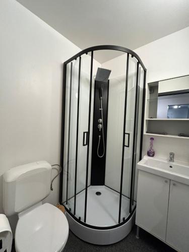 a bathroom with a shower with a toilet and a sink at Impasse 1 in Fosses-La-Ville