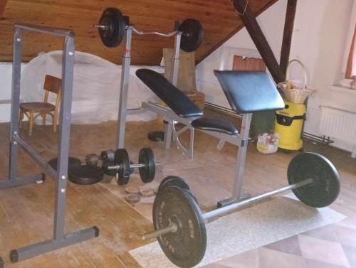 a gym with dumbbells and weights in a room at WW Wzdłuż Wisły in Józefów