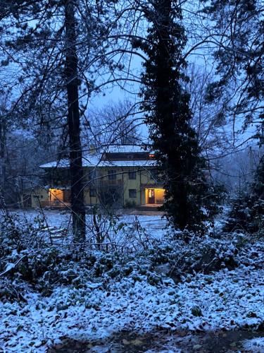 a house in the middle of a snow covered forest at Вила Ренесанс Костенец in Kostenets