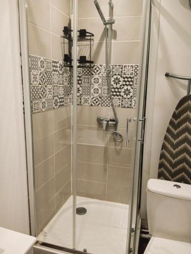 une douche avec une porte vitrée à côté des toilettes dans l'établissement Coeur Joigny nature zen 1, à Joigny