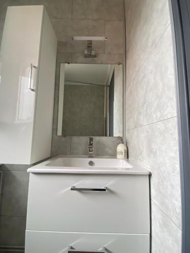 une salle de bain avec un lavabo blanc et un miroir dans l'établissement L'Eldorado Ruthénois - Garage & Terrasse, à Rodez