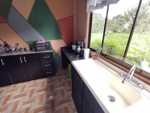 a kitchen with a white sink and a window at Palm house Arenal in Fortuna