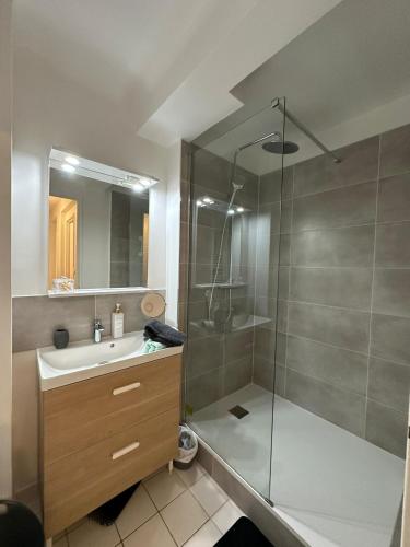 une salle de bain avec une douche, un lavabo et un miroir dans l'établissement 4 Beds Apartment close PARIS center, à Vanves