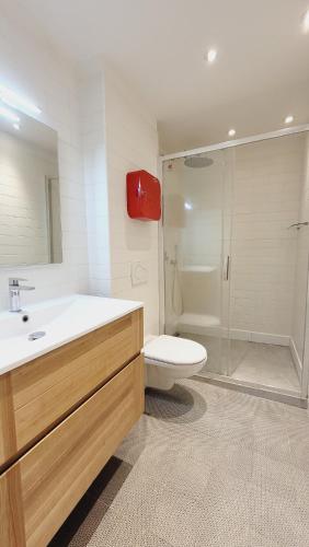 La salle de bains est pourvue d'un lavabo, de toilettes et d'une douche. dans l'établissement App 50m2 / Clim ctr historique, à Aix-en-Provence