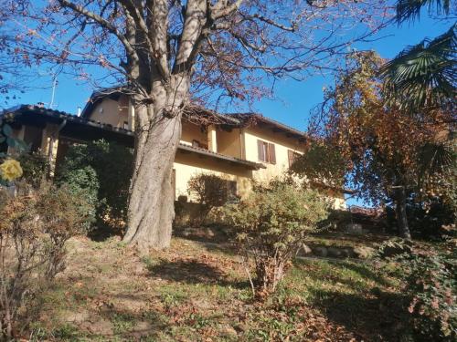 a house with a tree in front of it at Casa Martini in Pecetto