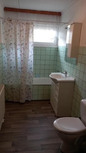 a bathroom with a toilet and a sink and a tub at Ubytování u sjezdovky až 12os in Cerny Dul