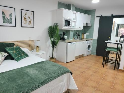 A kitchen or kitchenette at Estudios El Quijote