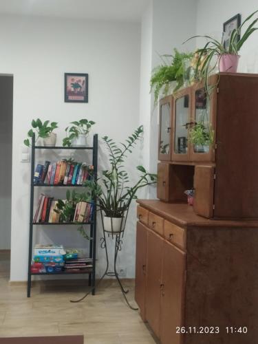 a room with a book shelf and a dresser with plants at Dolistówka Apartamenty, pole namiotowe, balia z jacuzzi, ogród warzywny dla gości, plac zabaw dla dzieci in Goniadz