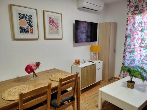 TV a/nebo společenská místnost v ubytování Atrium Alcala Centro Estudios