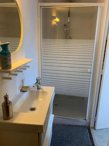 une salle de bain avec un lavabo et une douche avec un miroir dans l'établissement PAVILLON & Jardinet A 5 MN PARIS , 30 MN STADE de FRANCE au pied du RER B, à Cachan